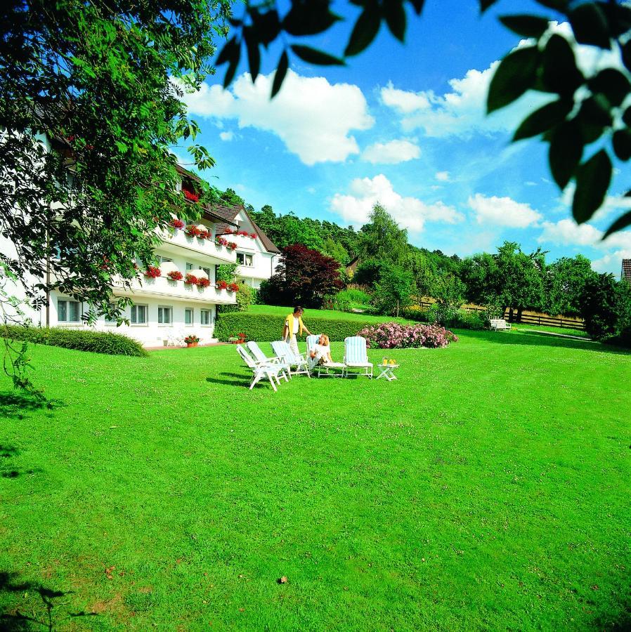 Haus Am Steinberg Hotel Bad Driburg Exterior photo
